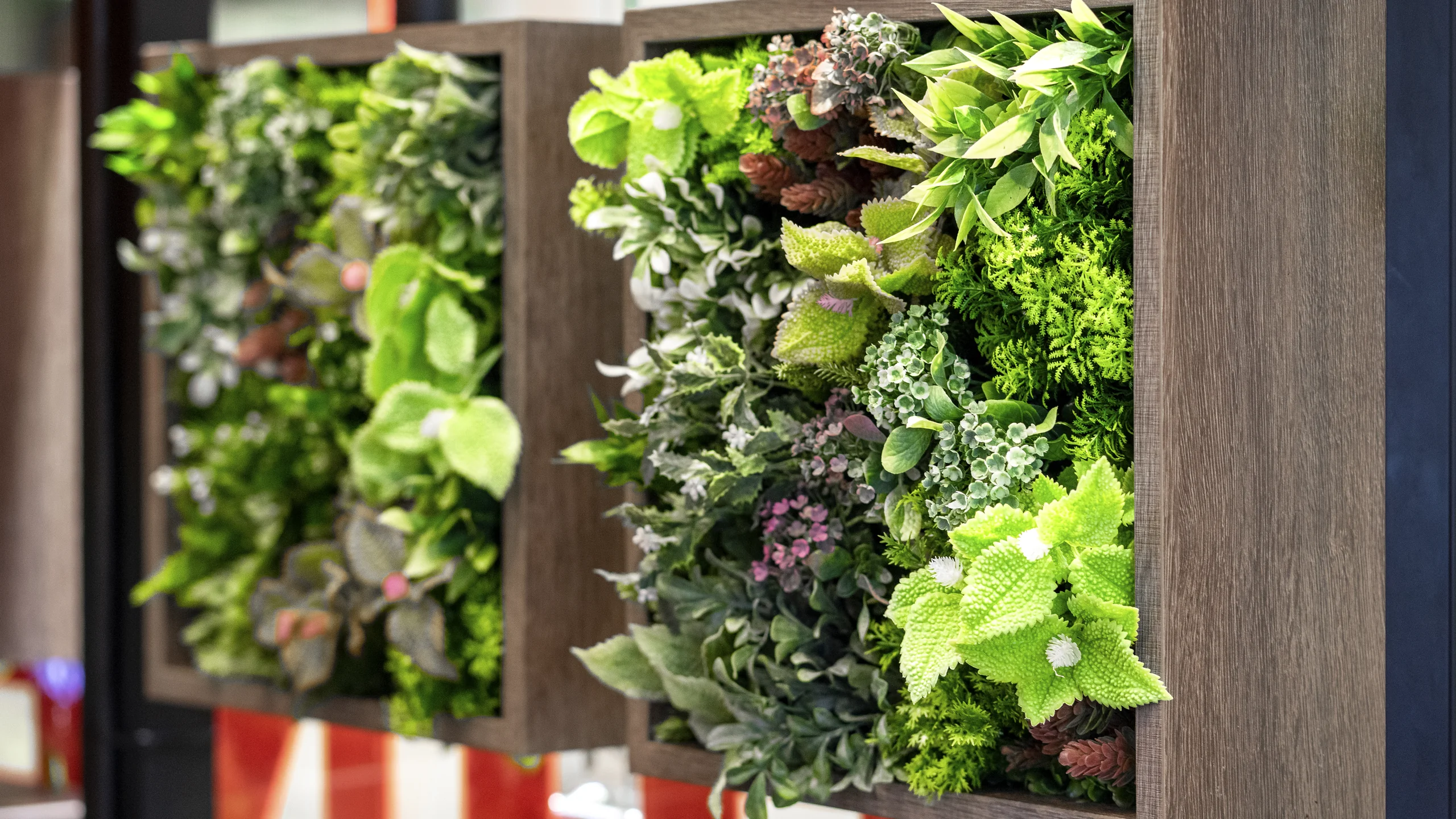 Оформление Hine - 1